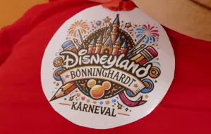Karneval2025 (6).JPG